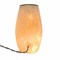 Stony Creek 7.0 Inch Nativity Pre-Lit Med Vase Christmas Lighted Glass Accent , Electric Christmas Baby Jesus